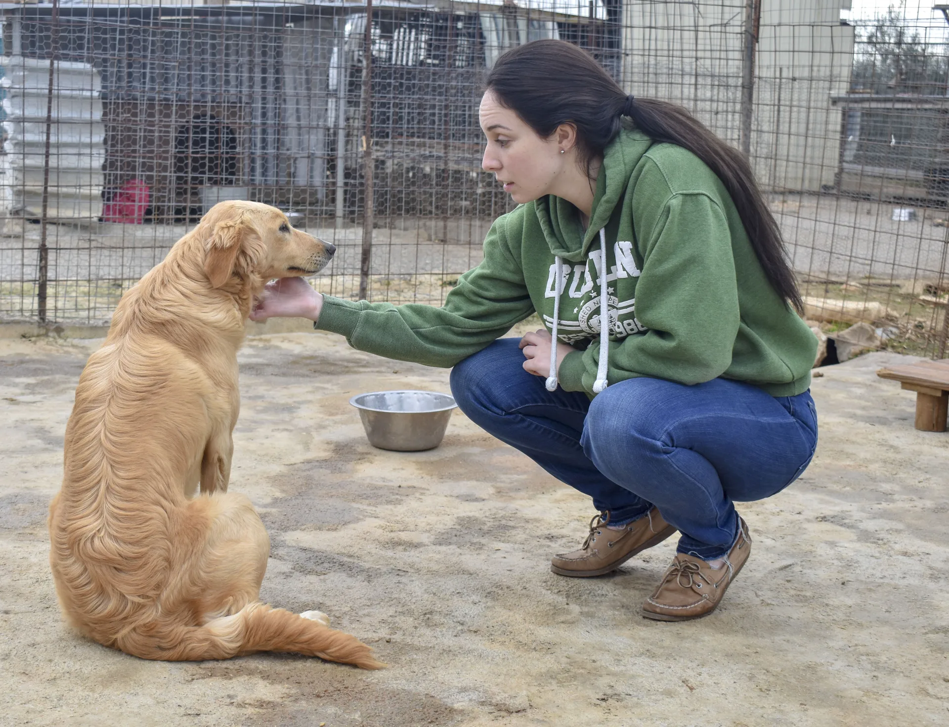 Volunteers caring for rescued dogs in Uttarakhand